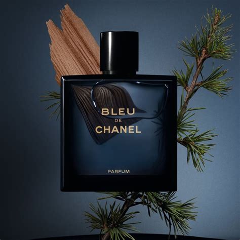 parfum blue chanel homme prix|Chanel bleu perfume 100ml.